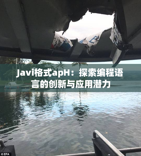 Javi格式apH：探索编程语言的创新与应用潜力