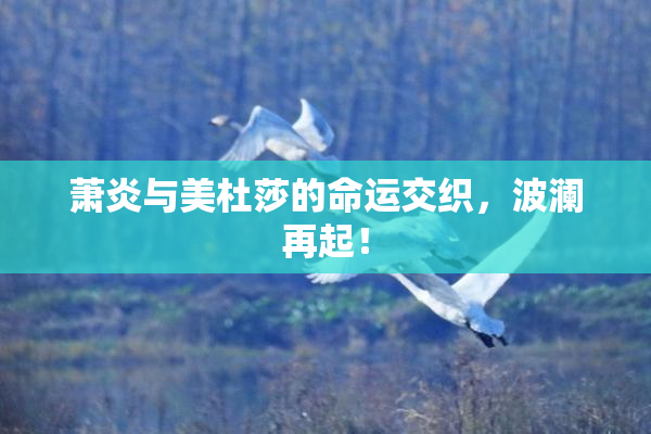 萧炎与美杜莎的命运交织，波澜再起！