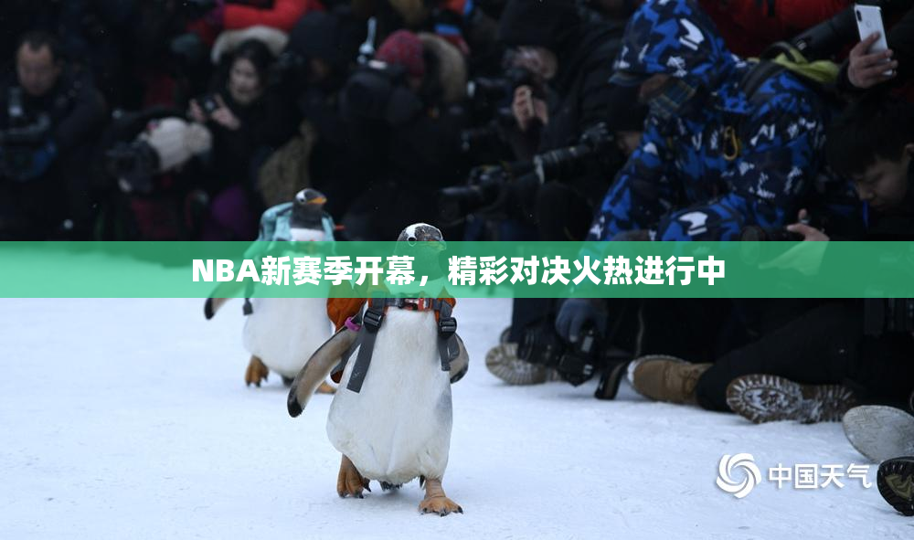 NBA新赛季开幕，精彩对决火热进行中