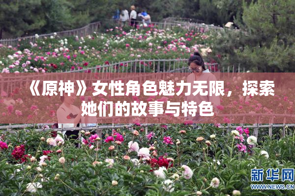 《原神》女性角色魅力无限，探索她们的故事与特色