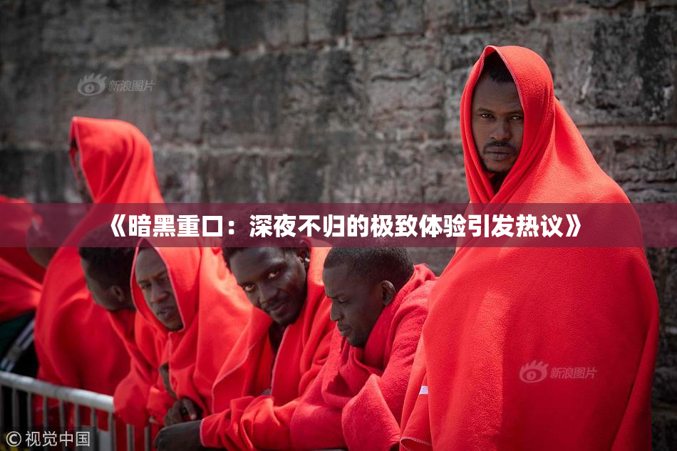 《暗黑重口：深夜不归的极致体验引发热议》