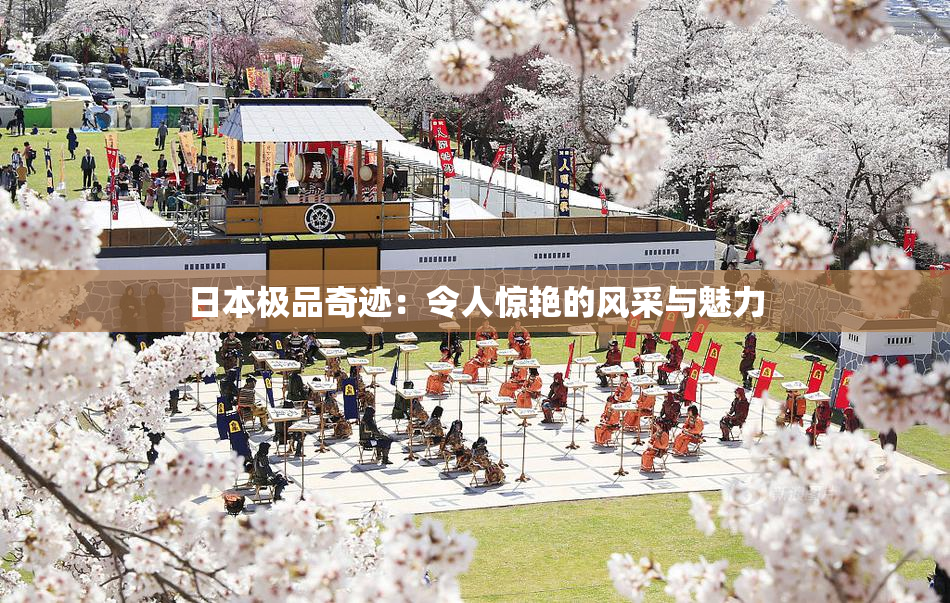 日本极品奇迹：令人惊艳的风采与魅力