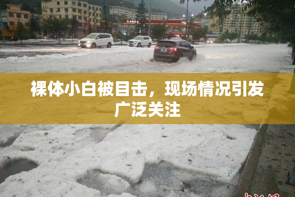 裸体小白被目击，现场情况引发广泛关注