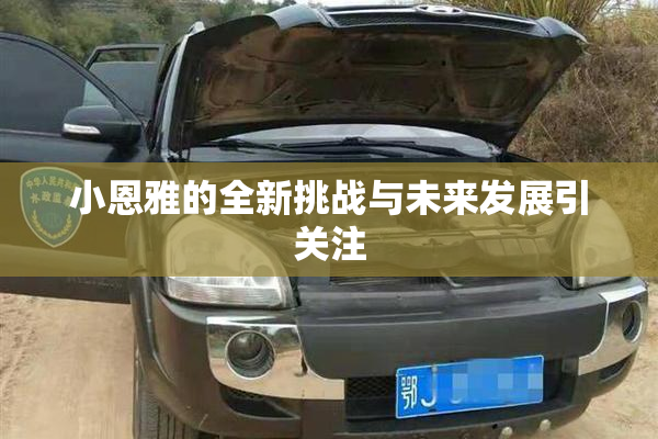 小恩雅的全新挑战与未来发展引关注