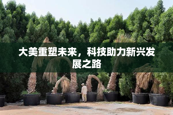 大美重塑未来，科技助力新兴发展之路
