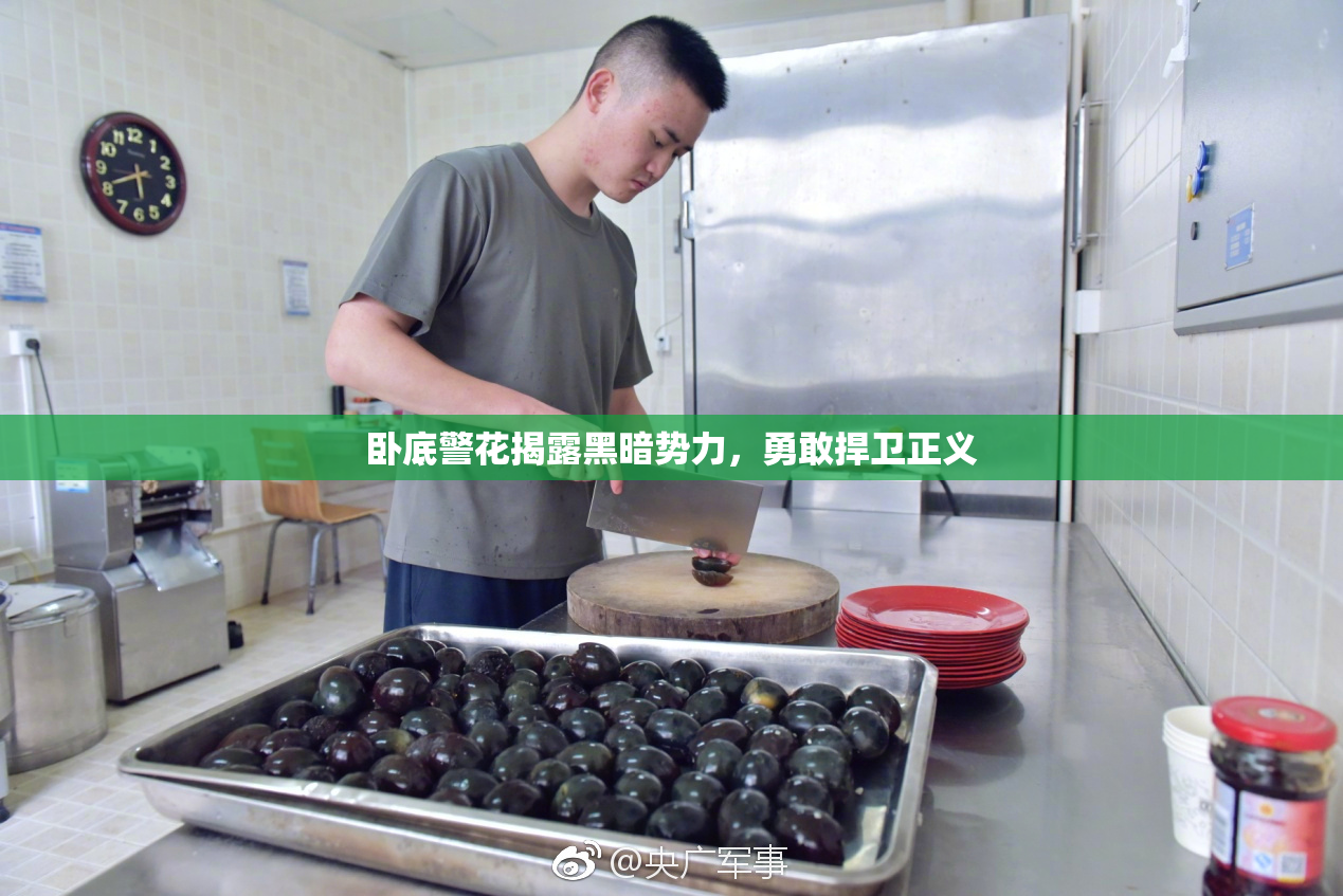 卧底警花揭露黑暗势力，勇敢捍卫正义
