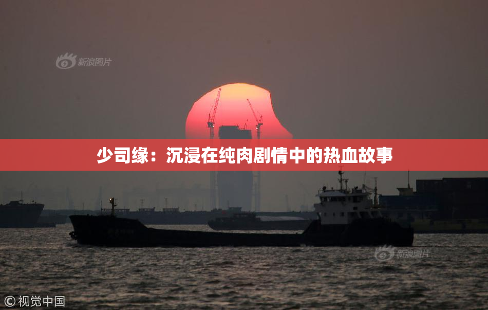 少司缘：沉浸在纯肉剧情中的热血故事