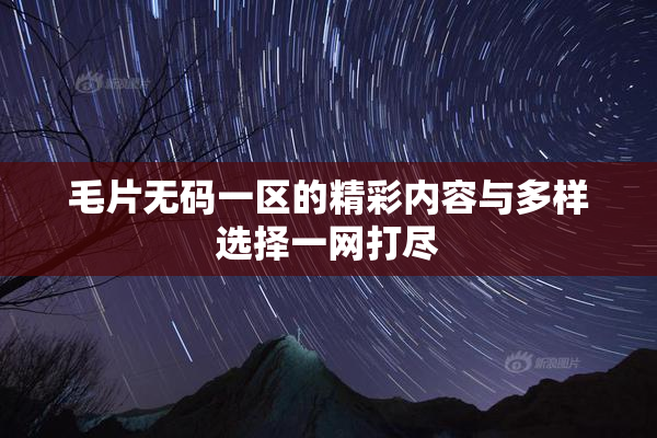 毛片无码一区的精彩内容与多样选择一网打尽