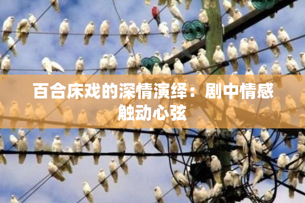 百合床戏的深情演绎：剧中情感触动心弦
