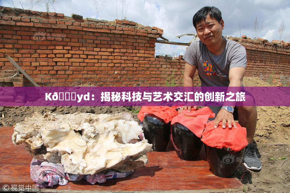 K🈚yd：揭秘科技与艺术交汇的创新之旅