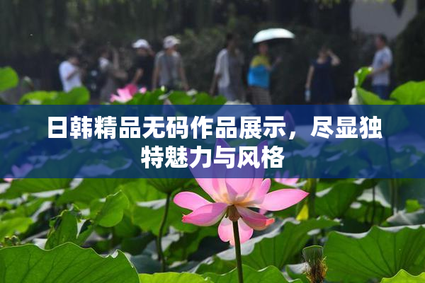 日韩精品无码作品展示，尽显独特魅力与风格