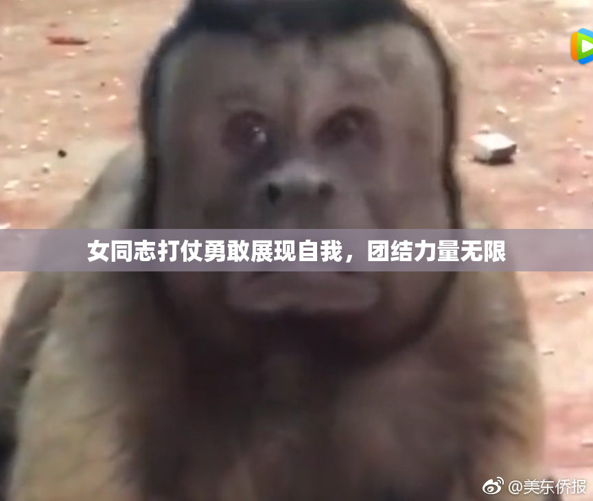 女同志打仗勇敢展现自我，团结力量无限