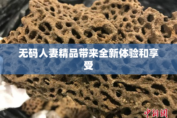 无码人妻精品带来全新体验和享受