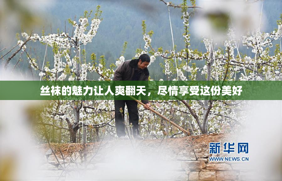 丝袜的魅力让人爽翻天，尽情享受这份美好