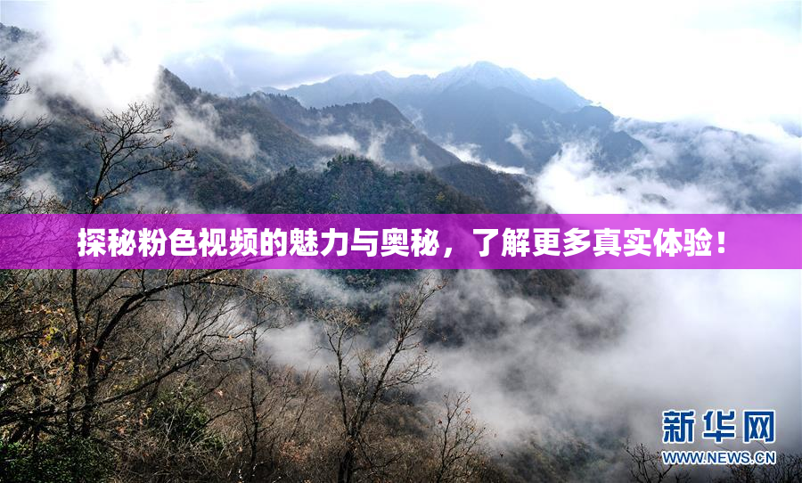 探秘粉色视频的魅力与奥秘，了解更多真实体验！
