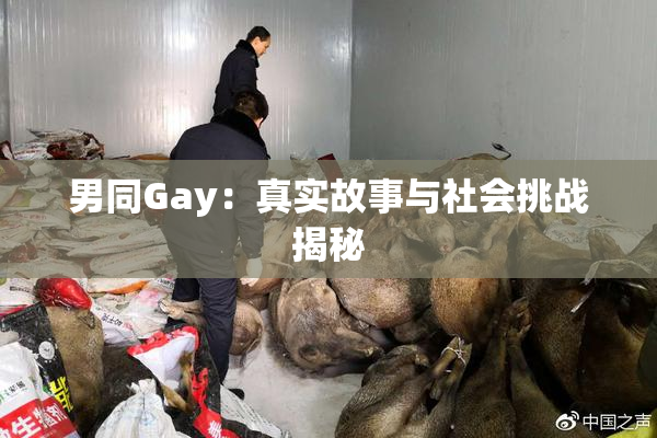 男同Gay：真实故事与社会挑战揭秘