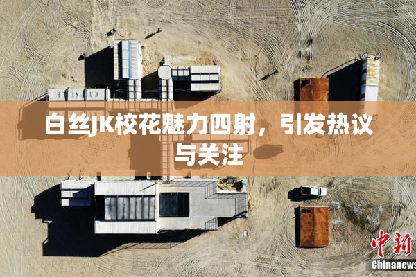 白丝JK校花魅力四射，引发热议与关注