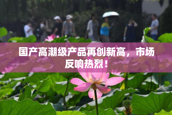 国产高潮级产品再创新高，市场反响热烈！