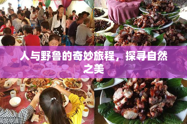 人与野鲁的奇妙旅程，探寻自然之美