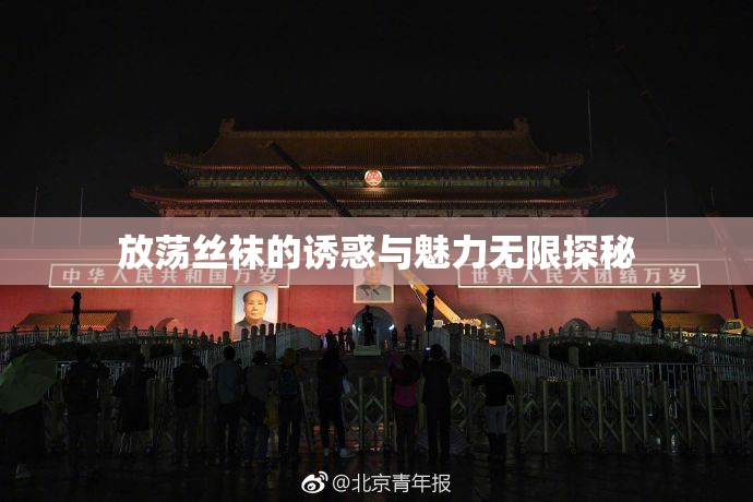 放荡丝袜的诱惑与魅力无限探秘