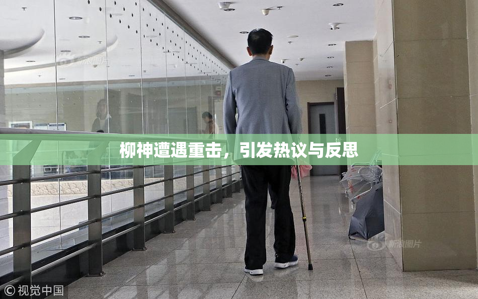 柳神遭遇重击，引发热议与反思