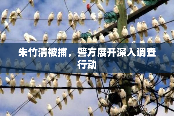 朱竹清被捕，警方展开深入调查行动