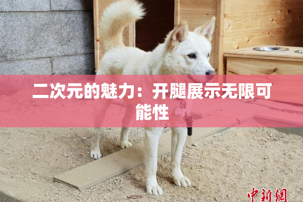 二次元的魅力：开腿展示无限可能性