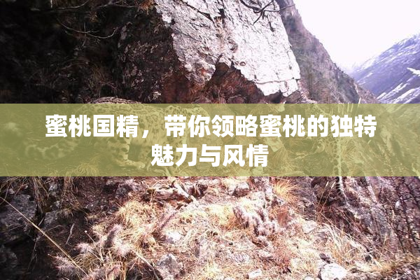 蜜桃国精，带你领略蜜桃的独特魅力与风情