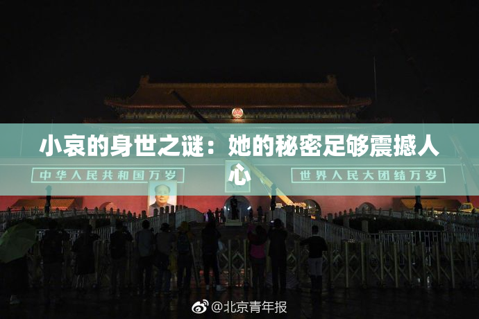 小哀的身世之谜：她的秘密足够震撼人心