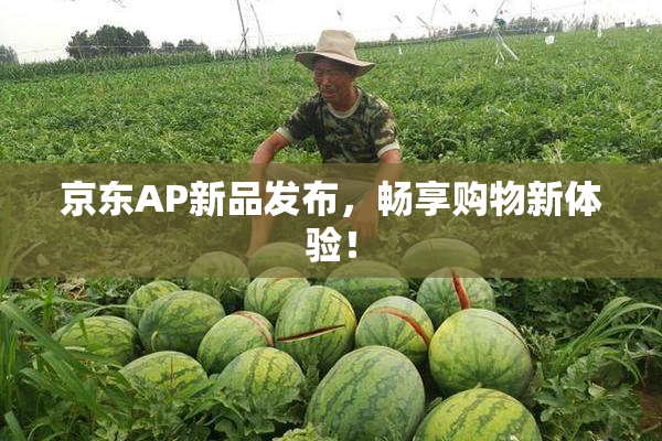 京东AP新品发布，畅享购物新体验！