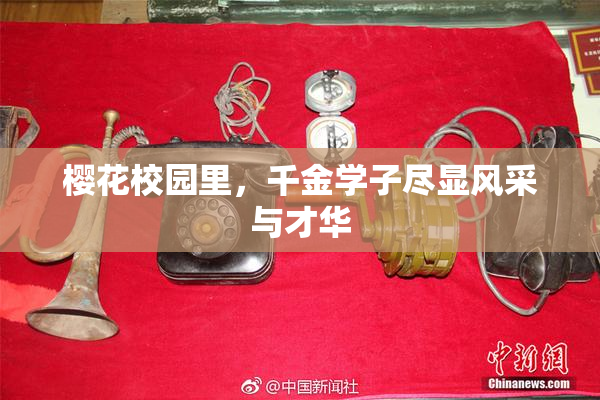 樱花校园里，千金学子尽显风采与才华