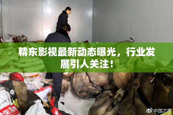 精东影视最新动态曝光，行业发展引人关注！