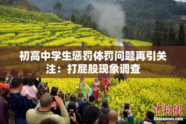 初高中学生惩罚体罚问题再引关注：打屁股现象调查