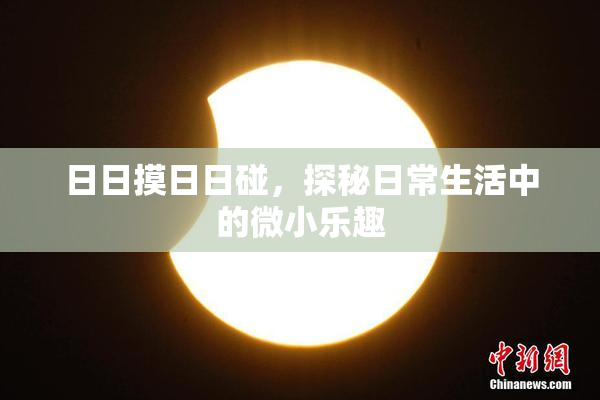 日日摸日日碰，探秘日常生活中的微小乐趣