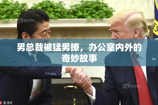 男总裁被猛男撩，办公室内外的奇妙故事
