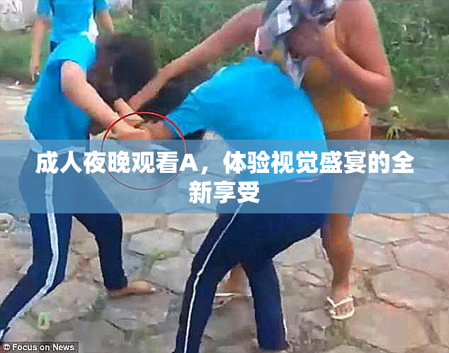 成人夜晚观看A，体验视觉盛宴的全新享受