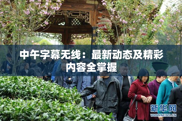 中午字幕无线：最新动态及精彩内容全掌握