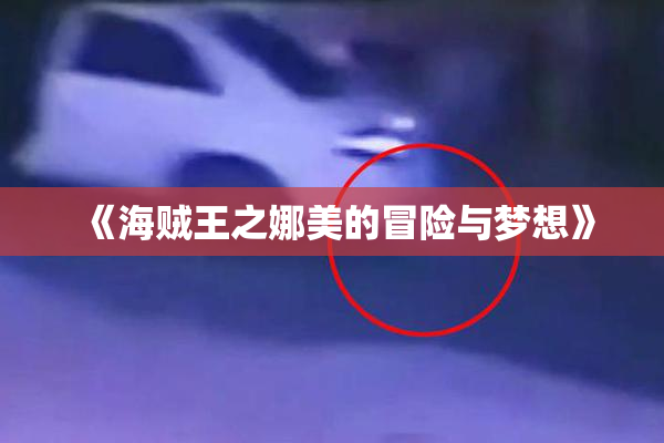 《海贼王之娜美的冒险与梦想》