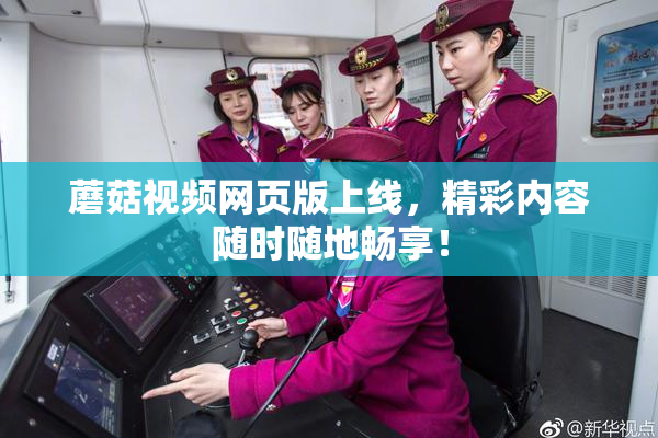 蘑菇视频网页版上线，精彩内容随时随地畅享！