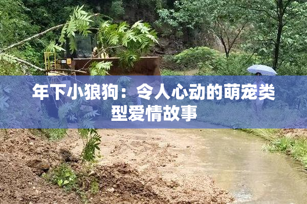 年下小狼狗：令人心动的萌宠类型爱情故事