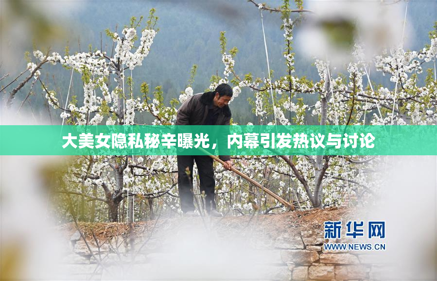 大美女隐私秘辛曝光，内幕引发热议与讨论