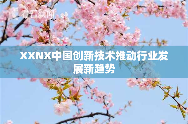 XXNX中国创新技术推动行业发展新趋势