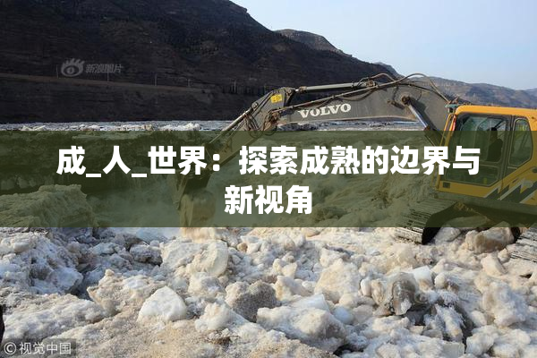 成_人_世界：探索成熟的边界与新视角