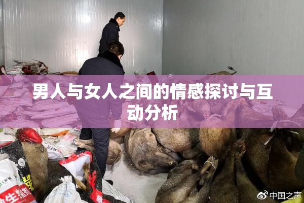 男人与女人之间的情感探讨与互动分析