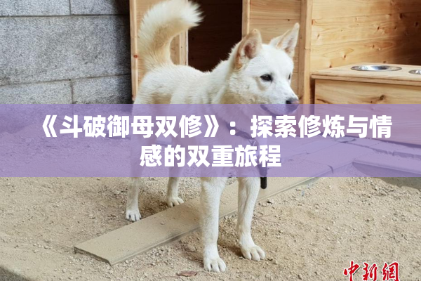 《斗破御母双修》：探索修炼与情感的双重旅程