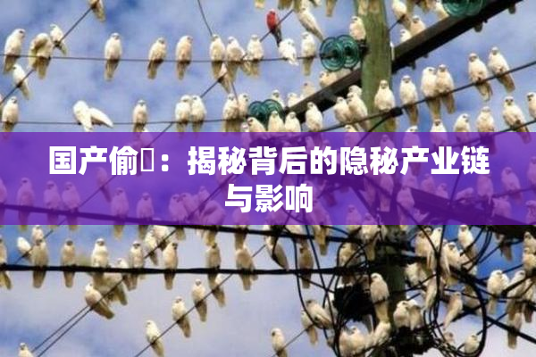 国产偷抇：揭秘背后的隐秘产业链与影响