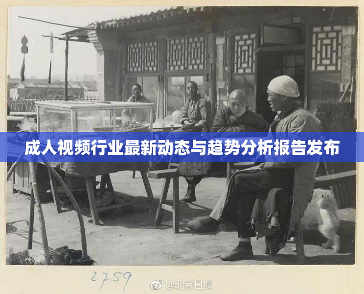 成人视频行业最新动态与趋势分析报告发布