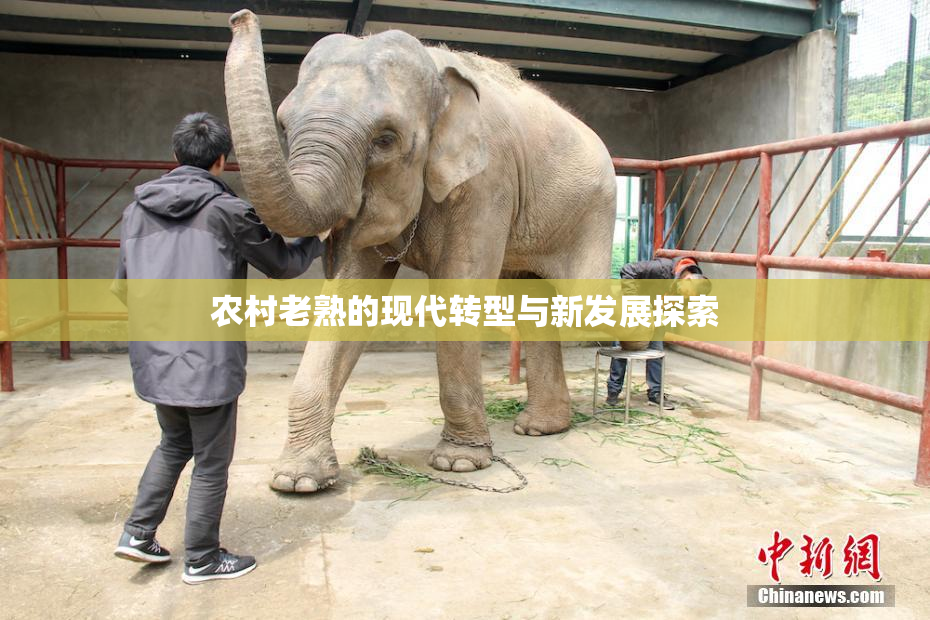 农村老熟的现代转型与新发展探索