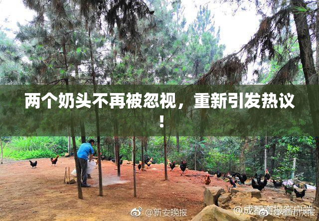 两个奶头不再被忽视，重新引发热议！