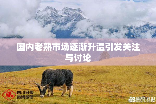 国内老熟市场逐渐升温引发关注与讨论